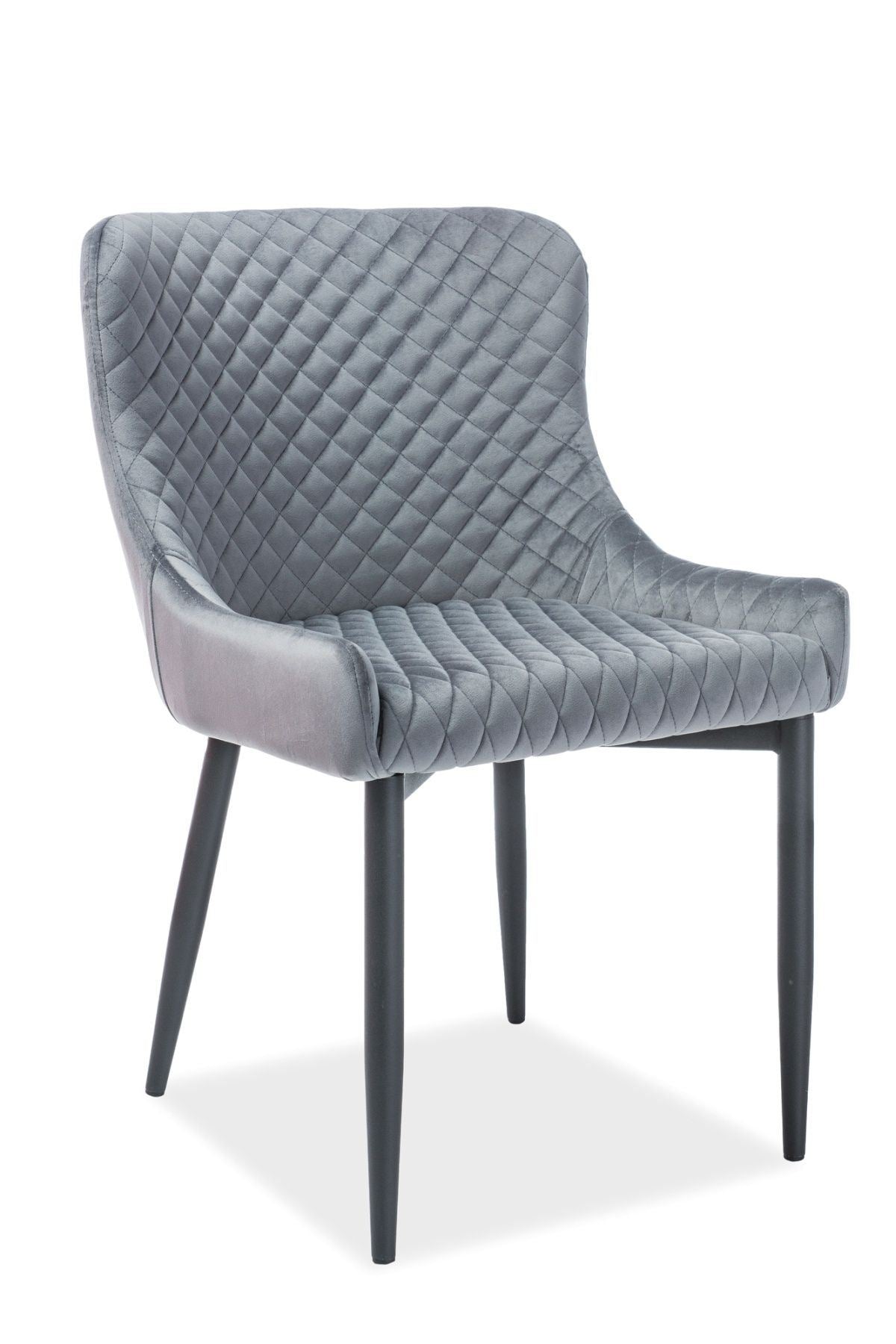Moderner Esszimmerstuhl Casino in Velvet grau